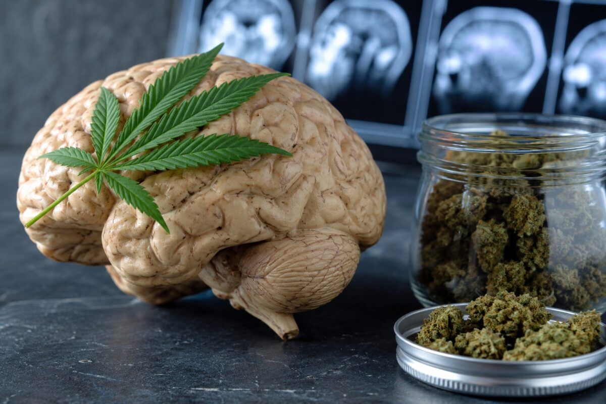 Thc i neurogeneza